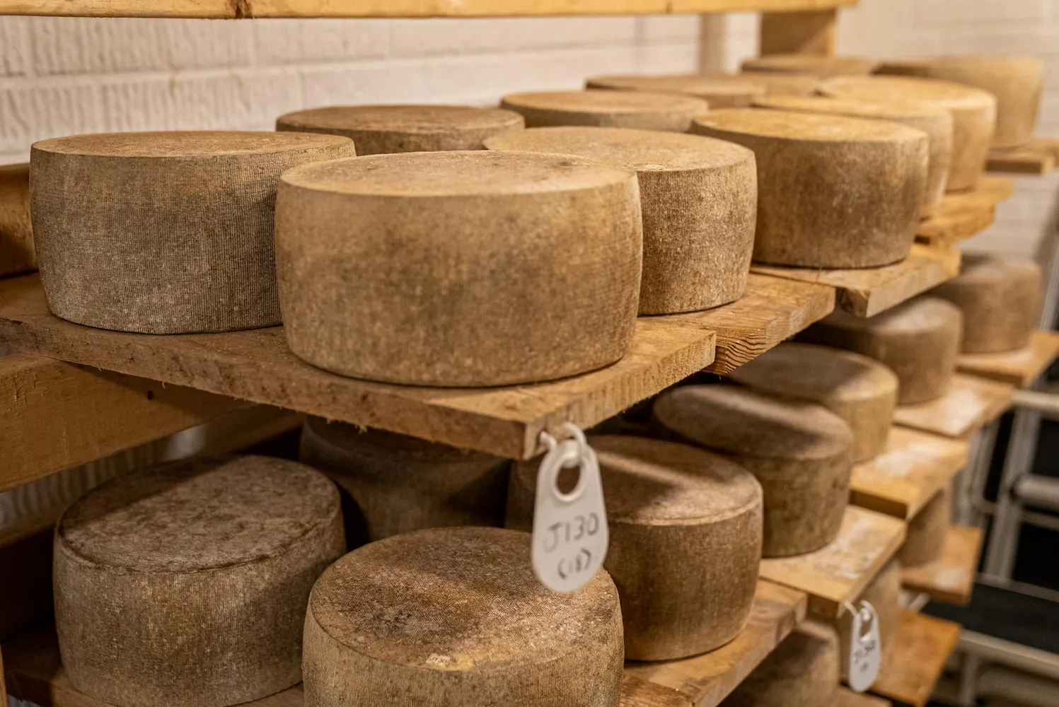 How Temperature and Humidity Influence the Aging Process of Cheese
